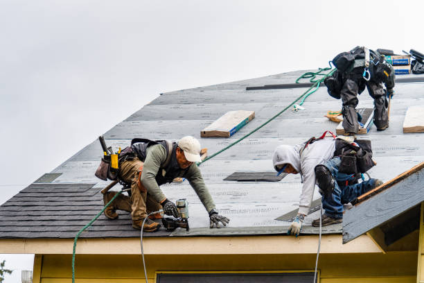 Professional Roofing technician working in Brooklyn, IA
